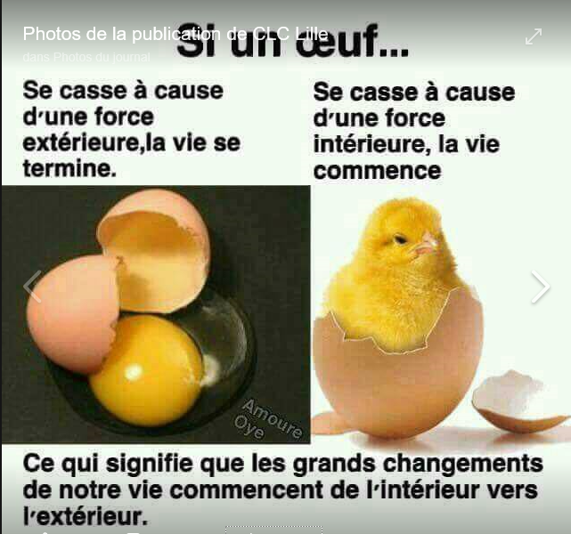 Si un oeuf se casse à cause d'une force extérieure, la vie se termine. S'il se casse à cause d'une force intérieure, la vie commence. Ce qui signifie que les grands changements de notre vie commencent de l'intérieur vers l'extérieur. Photo de la publication de CLC Lille.