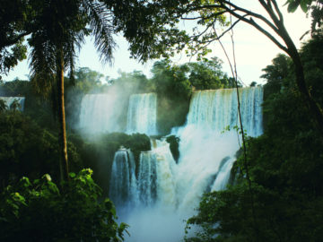 Paysage avec cascades et végétation